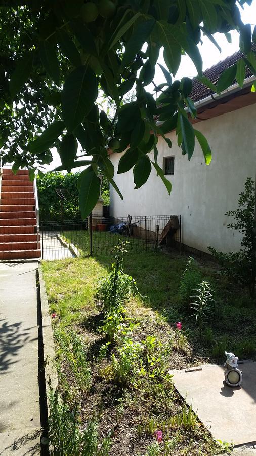 Casa Carla-Maria Apartman Déva Kültér fotó