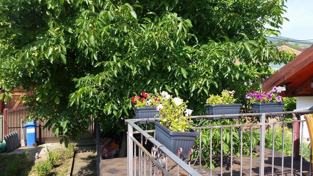 Casa Carla-Maria Apartman Déva Kültér fotó